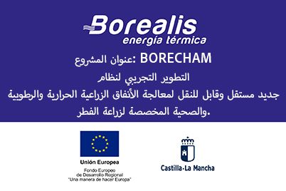 AR-borealis-borecham-03