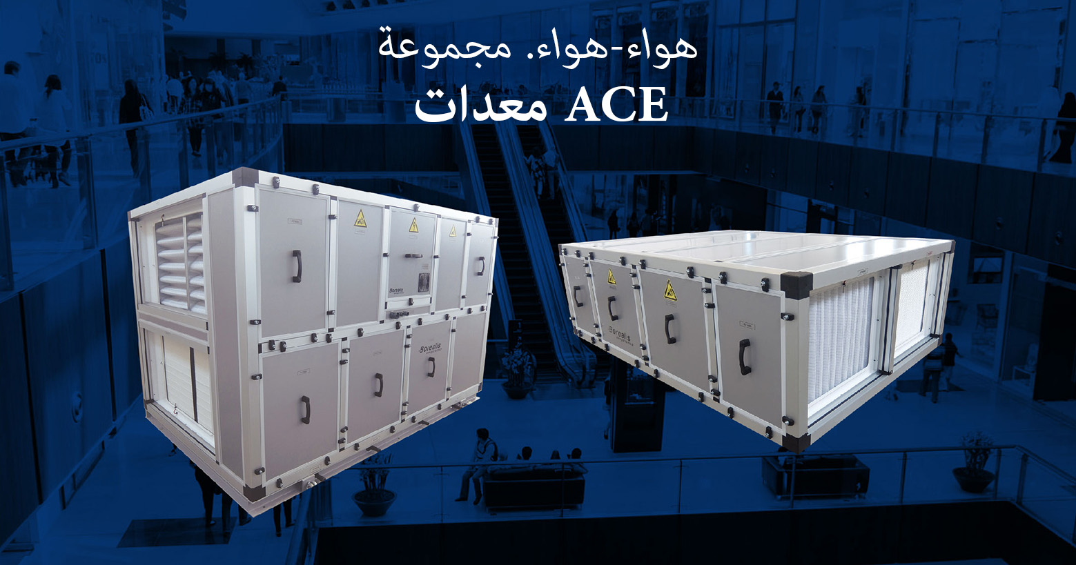 borealis-ace-01-11-Arabe